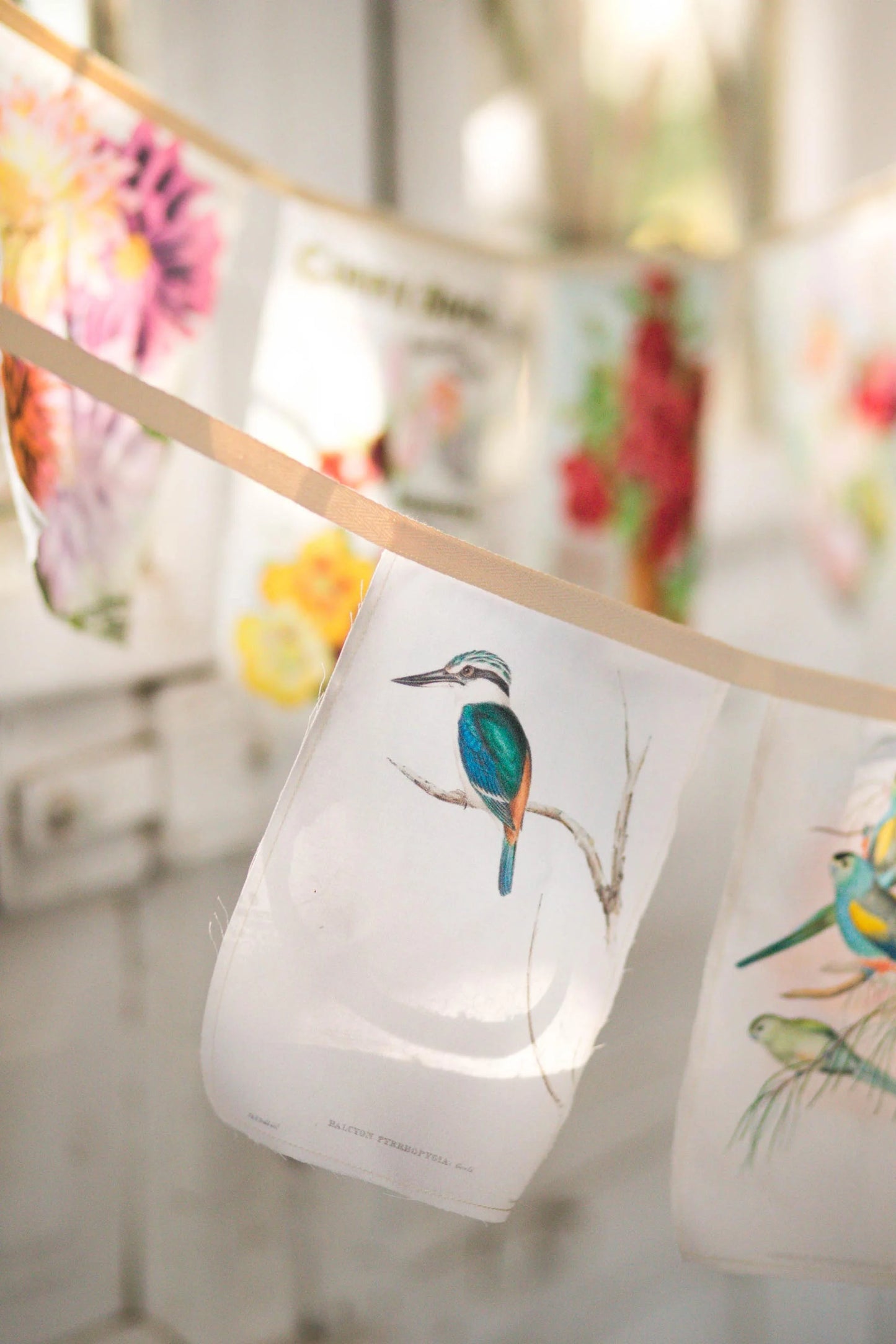 Australian Birds Garland