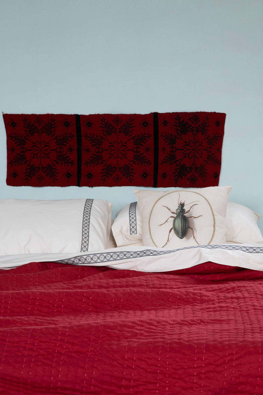 Beetle Cushion