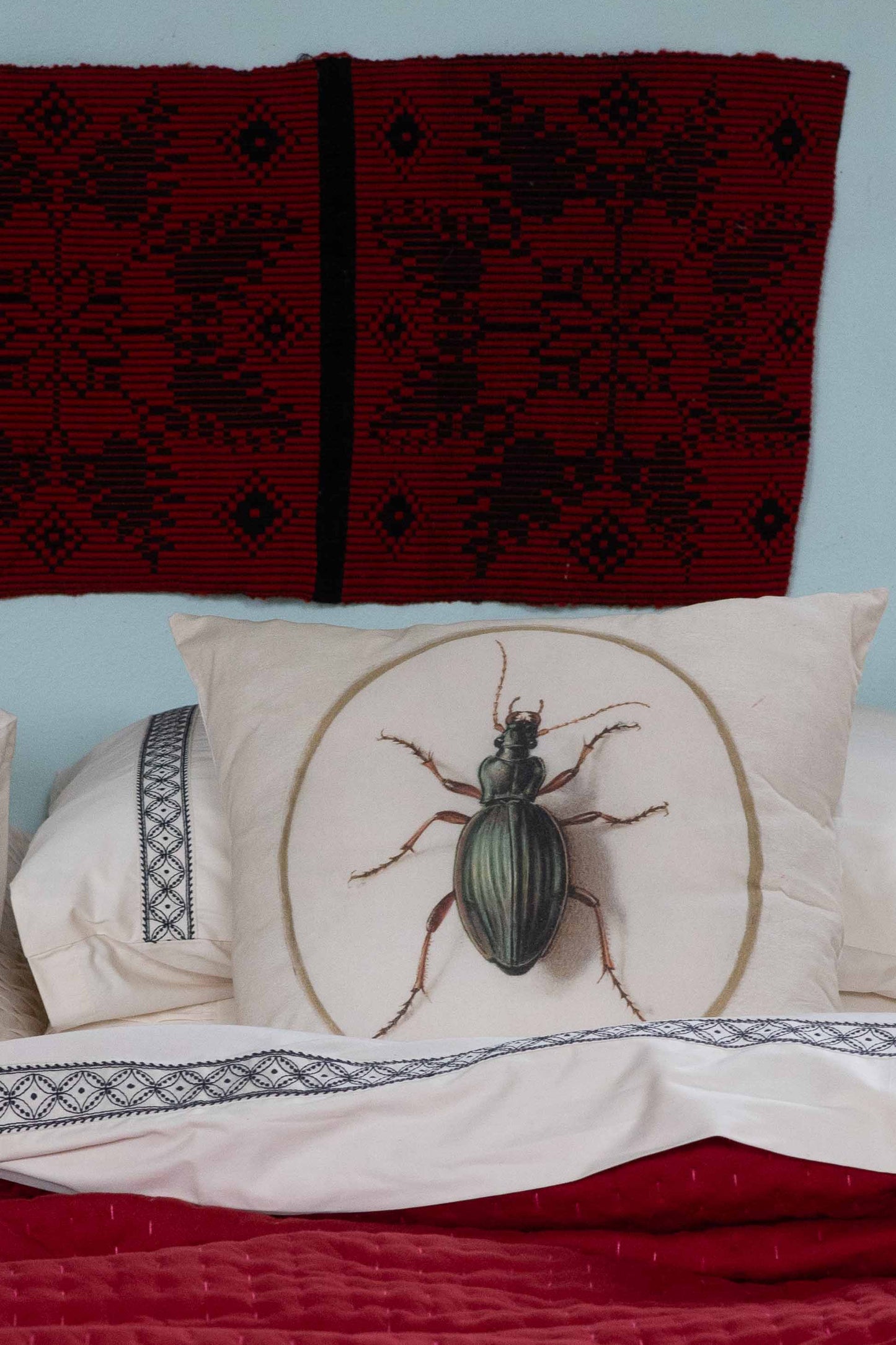 Beetle Cushion