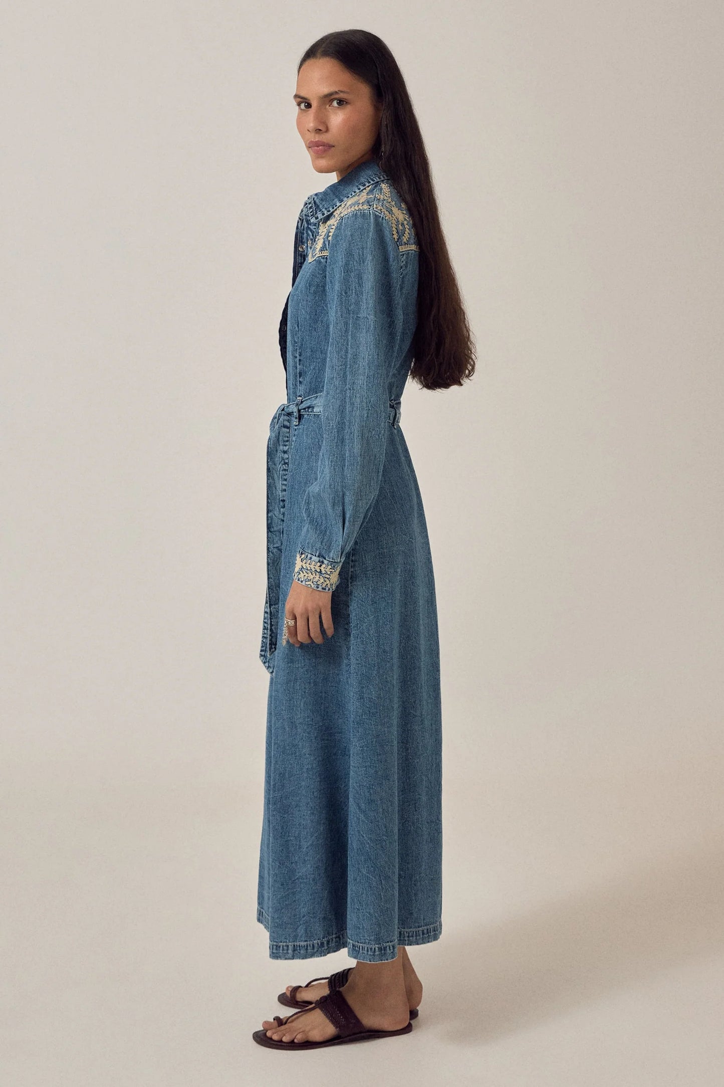 Maison Hotel Amelia Dress - Arizona