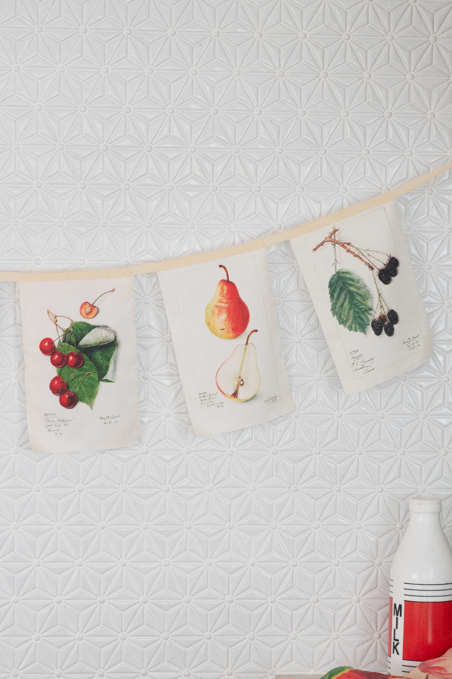 Vintage Fruit Garland
