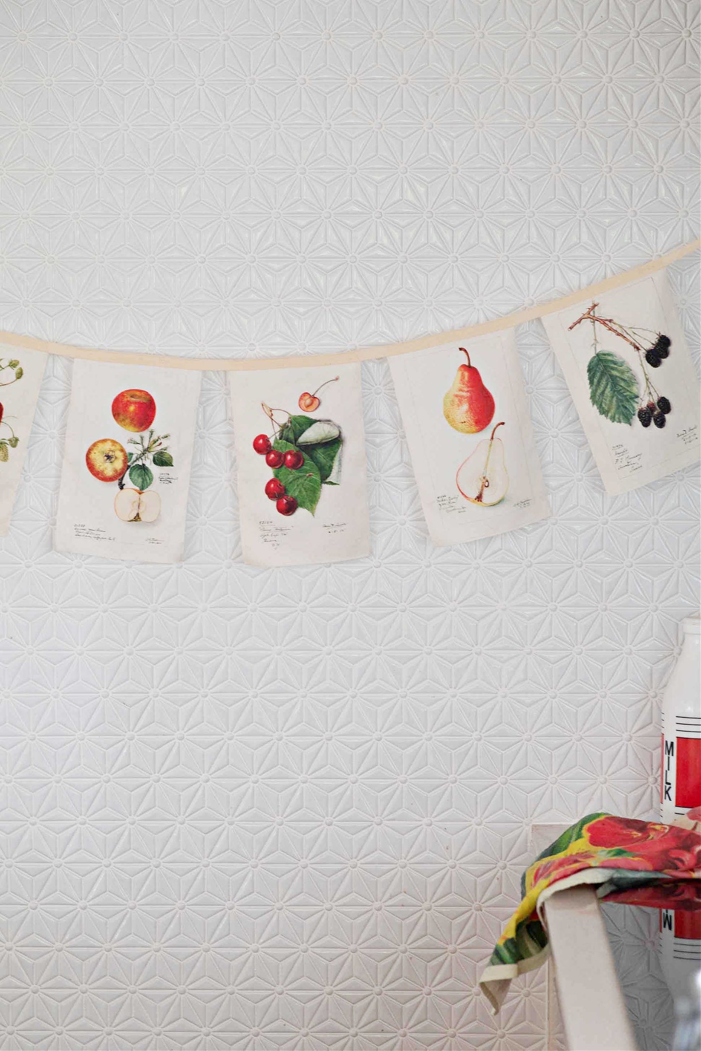 Vintage Fruit Garland