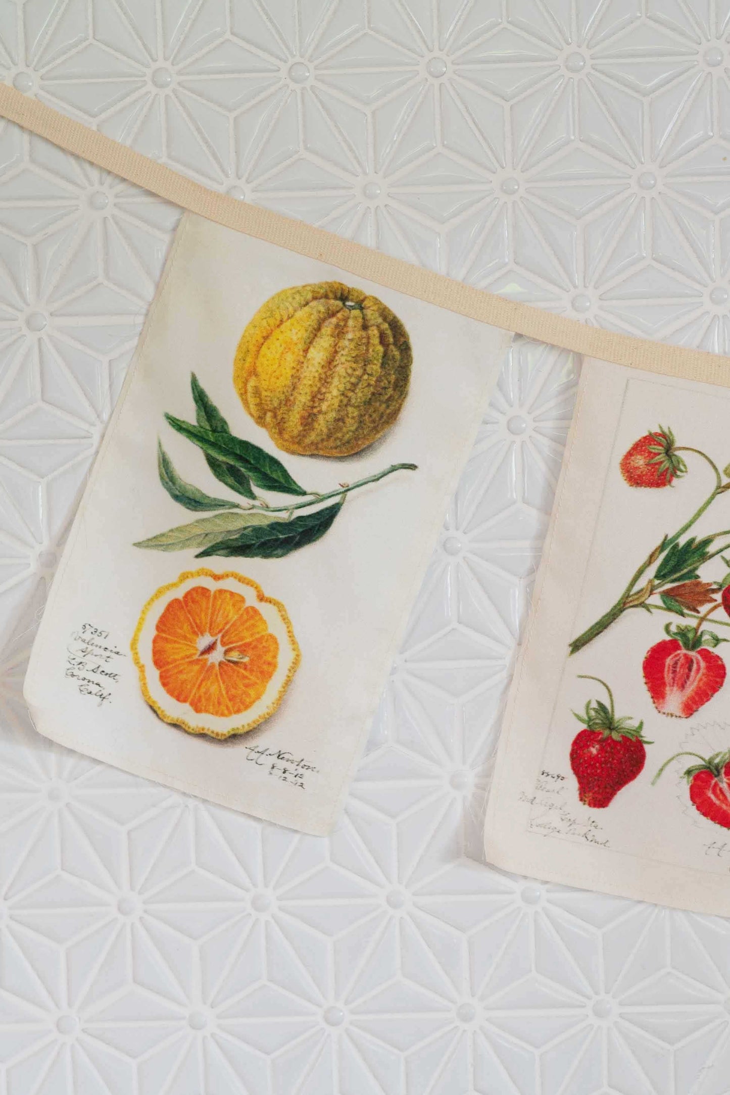 Vintage Fruit Garland