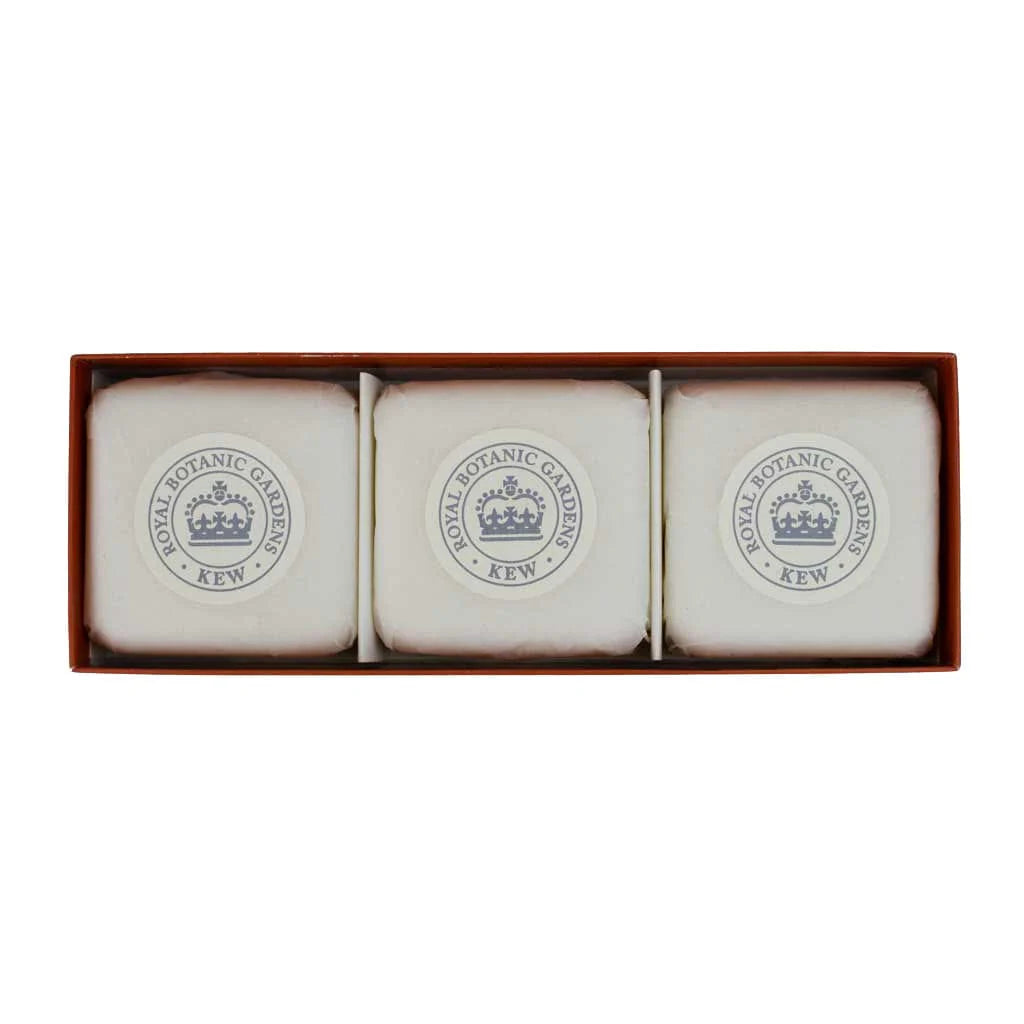 Bergamot & Ginger Triple Soap Bars Gift Set 3x100g